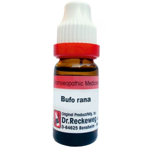 Bufo Rana - convulsive seizures, Nocturnal Emission, Strong desire to masturbate, Menstrual periods before date, Skin rashes in Palm soul and watery discharge, Numbness in limbs, cramps and pain in thighs, Epileptic seizure, Cannot tolerate shiny