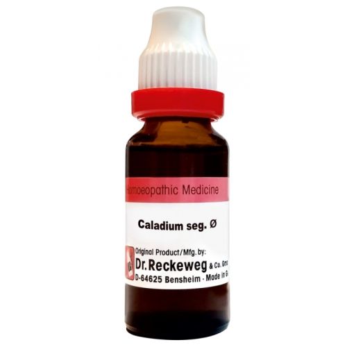 Dr. Reckeweg Calcarea Carb 30