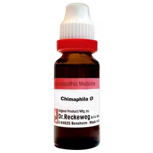 Dr. Reckeweg Chimaphilla Umb Q